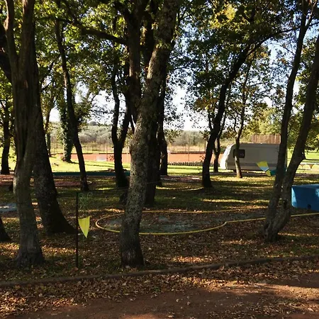 Dragica 2 Apartman