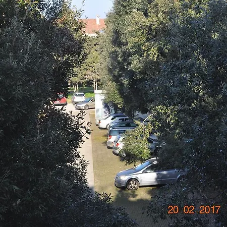 Apartamento Dragica 2 *